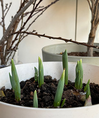 ������Ҳ�������������㣬Ҫ��Ҫ�ε���