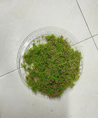 ������ǰְֿ��ȱ����ӣ�0Ԫ����̦޺�ܺ���