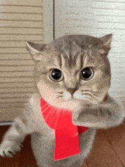 ������ֵ���򡿿�����ͷƤ��5��14��ϣ���۰�����4��29