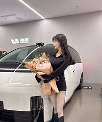 ����MEGA�������Կ�ʼ���òʻ����ػ�pͼ�¼�