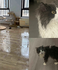 Сè���ǻ���������ܺ��ߣ��㶫ʪ��