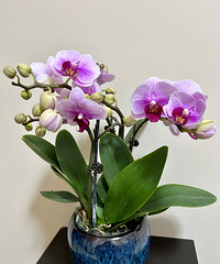 ֱ����������2����������յ��о�������