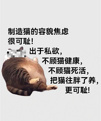 è11.8��=��200����ʵķ紵����è����