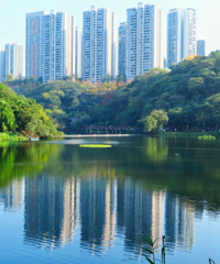 [����]��ѣ�������10����԰̫�ʺ��ͻ���Ұ�͡���ɽ��