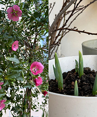 ֲ��Ҳ��e��i���������Ա�Сľ�ȱ���