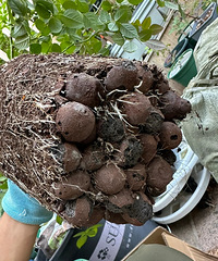 ���������������������������ѽ����˵�������ã�