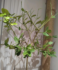 ��������1���¾͹���ˣ��������ȵı�Ҫ��