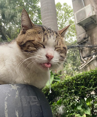 Сè��˯������ˮ��ҪЦ���п����ǿ���