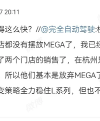 ������Ϣ�����뿪ʼ����ս���ˣ�ѡ����ʱ����MEGA������Lϵ��