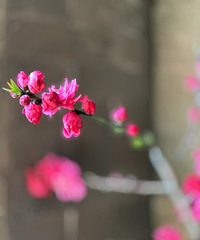 19.9��������һ�Ҫ���ˣ�������������ڴ�