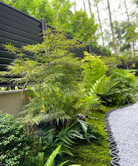 ɹһɹ�Ҽҵ���ʽС��԰�������Ļ�԰������