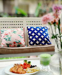 记录今年的花园,一不小心长出了小蘑菇