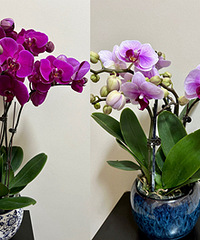 �����ĺ������������״�ֱ������û����