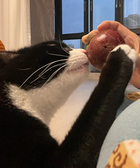 è�ر𰮳�ɽ�񣬾������˲��ڿе�ɽ��ȫ�Ƕ���