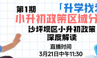 真要锁区?2024沙坪坝区小升初政策专场