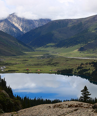 90갮Լݡ¶Ӫͻĸ飬ϣԷ158