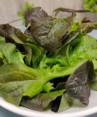 �㴻�����ˡ�����Ұ���ˡ�����ĸ�ɫҰ�ˣ�ӻԾ�ϳ�