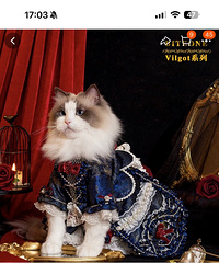 èһ���·�Ҫ4888�����ҲŴ�48�ģ����Ҳ���