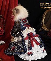 èһ���·�Ҫ4888�����ҲŴ�48�ģ����Ҳ���