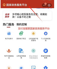 ������Ҫ���������²�ѯ;���ṩ����ң���˰app����������