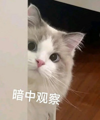 ������׼����èȥ�����磬����ϴ�軹��������ѽ