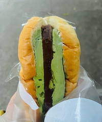 ��ɭ�����������ó�ѽ