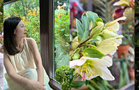 ҹ�����ǻ�԰����ʱ�̣�1���˶�����ݴ�������