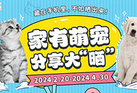 随手发帖晒宠物美照赢现金