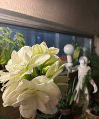 3�µľ�ϲ�ǰ����ٸ��ģ������ִ��ֶ࣬���ֿɳ�