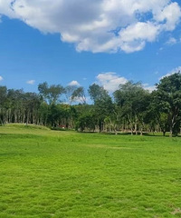 ��ɿڵ�����뵺���ò��ϣ��ƺ�һҹ֮����ջ��Ĵ�����