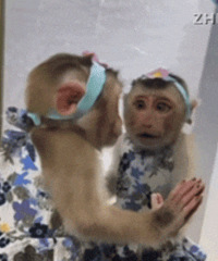 ������ֵ���򡿷�֮�׻�������2��39���Ŷٽ𽺷۽�14��56