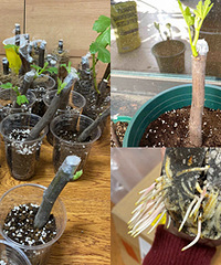 �����޻���Ǥ����������Ѿ�����������