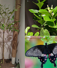 ��˵���˺������£��������Ͳ����ѷ���