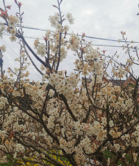 �ҵ���������