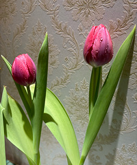 �������㲢���ѣ�ˮ��һ���ܿ���