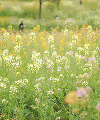 �����ʺ��ͻ������Ϻ������Ͳ˻�������һ��