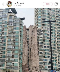 上海一小区有座15层楼高的假山?多方回应
