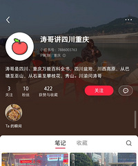 ����ƽ̨������ʱ����ֵĴ�˵