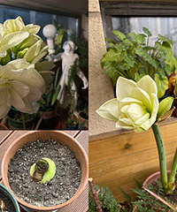 �����Ѻõİ����٣���Ȼ�ǿ�������