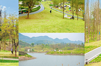 �������¶Ӫ�أ�û�컨�����ĩ��·���л��߳�λ