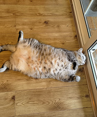 è��19���ˣ�����ô���ʣ���С��໹�����˶�