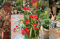 3�¿�ʼ��԰ÿ�춼�л�������Ƭ��ô�Ķ�����