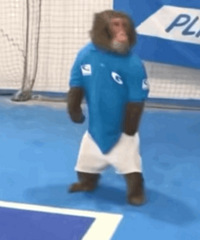 ������ֵ���򡿷���������˯ȹ35���۶�����÷֭3ƿ9.9