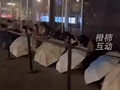 奶茶店为何排长队