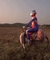 ���������Ķ������ܡ������ǵ���Щ����������˲����