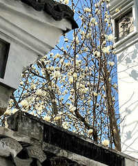 �й��˵���һ����;ͻ�ϲ�������ַ�Χ��������û�������ͷ�ã�