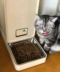 �������è�òң�è����ù�˶����ڳ�