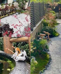 ��԰װ��Ҳ����6��㶨50ƽ��ʽ��԰