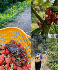 ��ݮҪ��������ɿ�ժ���ݶ���·����