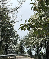 �山��ţƺ���滨����ס��������������ޡ��տ�ơ��ˬ����~~